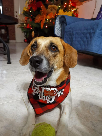Dog Christmas Bandana Classic Buffalo Plaid Pets Scarf Triangle Bibs Kerchief for Small Medium Large Dogs Cats Pets